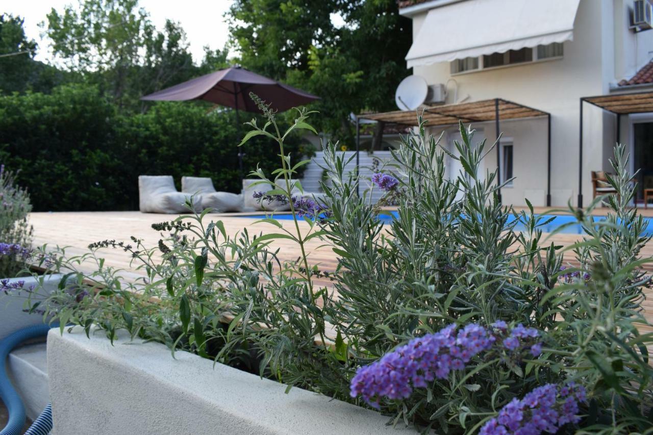 Serenity Luxury Villa, Skiathos Ayía Paraskeví Exterior foto