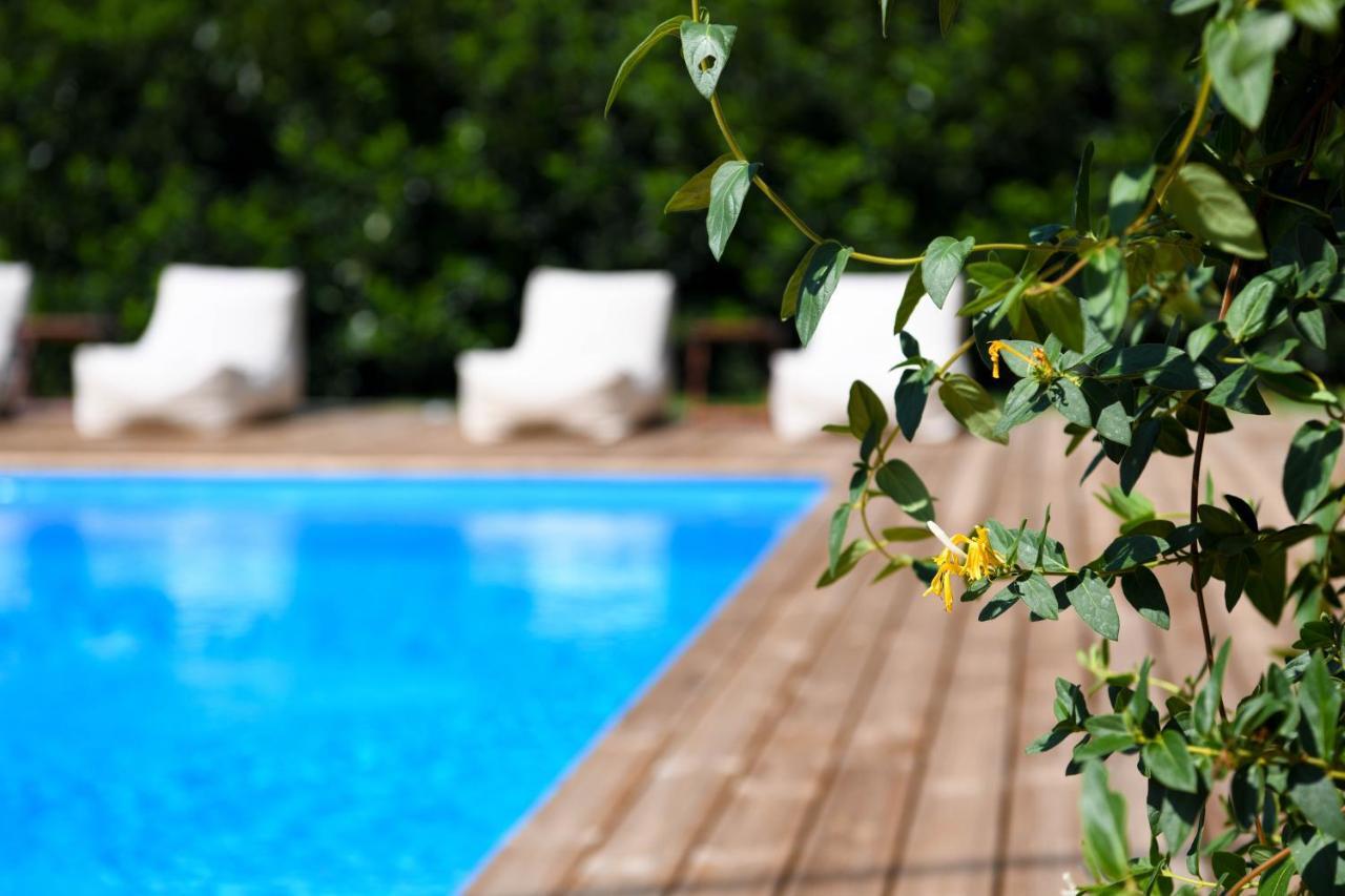 Serenity Luxury Villa, Skiathos Ayía Paraskeví Exterior foto